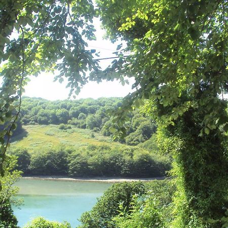 Woodlands Looe Bagian luar foto